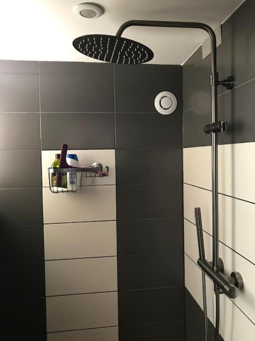 Studio 1 A 4 Pers, Proche Strasbourg, Europa-Park, Colmar Erstein Zewnętrze zdjęcie